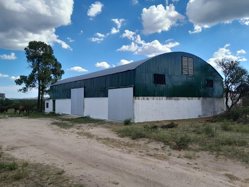 Imagen 3 de 10 de ¡imperdible! Galpón Depósito 500 M2 Alquiler En Villa Cura Brochero