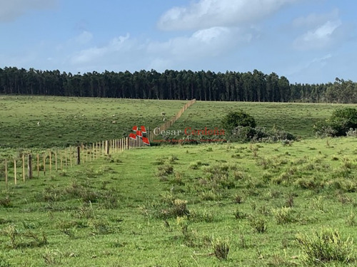 Venta - 5 Has En Sierra De Los Caracoles- Ref: 1568
