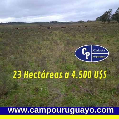 Campo De 23 Hectáreas En Canelones