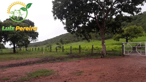 Imagem 8 de 15 de Fazenda À Venda Em Jaú - To - De 57 Alqueirões (pecuária) - 1771