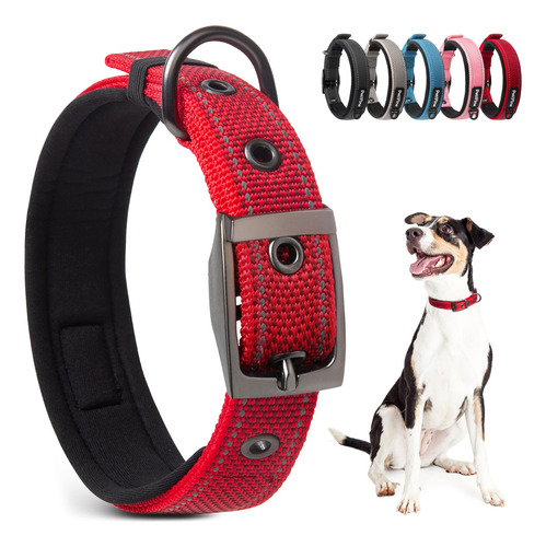 Collar Ajustable Reflectante De Neopreno Para Perros Tamaño