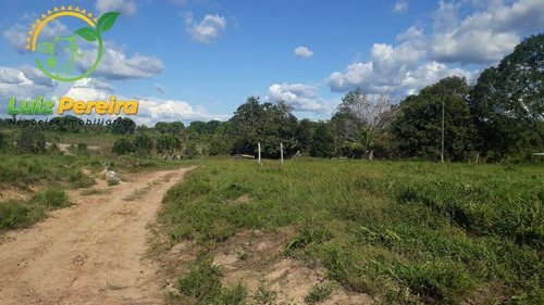 Imagem 6 de 9 de Fazenda  Venda Em Breu Branco - Pa - 2662 Hectares (dupla Aptidão) - 1854