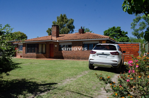 Chalet De 3 Dormitorios Y Ambiente Independiente, Sobre Importante Avenida De San Jose De Carrasco