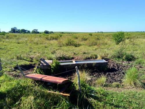 Imagen 6 de 20 de Campo Mixto 21 Has. En Victoria Actualmente Con Explotacion Ganadera
