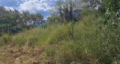 Terreno en renta