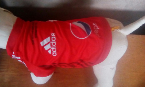 Camiseta America De Cali Talla Xs Para Tu Mascota