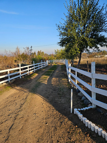 Parcela Con Casa, 5000 Mts2, San Javier