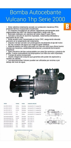 Imagen 2 de 5 de Bomba Autocebante Pleta Vulcano Bae 100 1hp S 2000