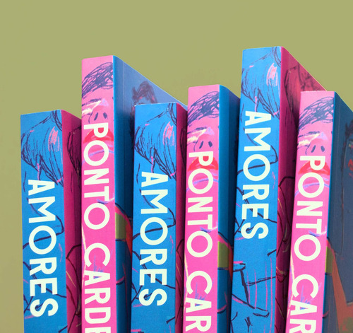 Amores, de de Récondo, Léonor. Editorial Editora Dublinense Ltda., capa mole em português, 2020