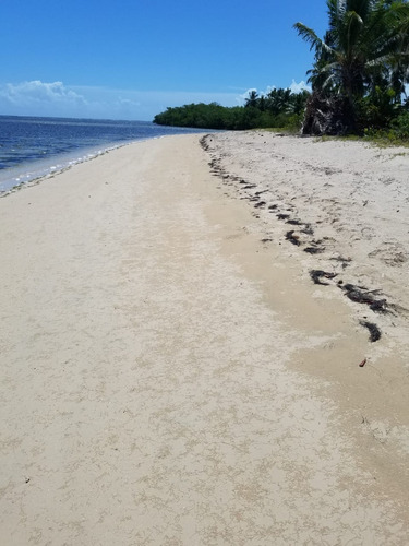 Solar En Coson Samaná Con Playa