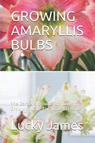 Bulbos Y Plantas De Amaryllis | MercadoLibre ?