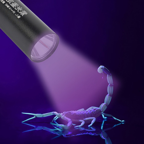 Linterna Led Uv De 365 Nm, Mini Portátil, Luz Violeta, Orina
