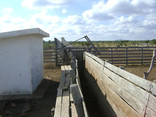 Imagen 14 de 30 de Quilino,campo Ganadero, 2700 Has