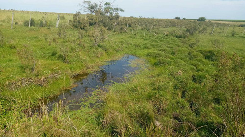 12 Hás. Agrícolas En Puntas De Solis A 250 Mts. Ruta 8