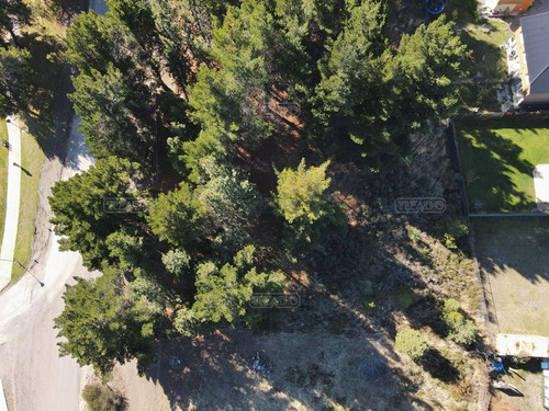 Terreno Lote En Venta En Entre Pinos, Bariloche, Patagonia