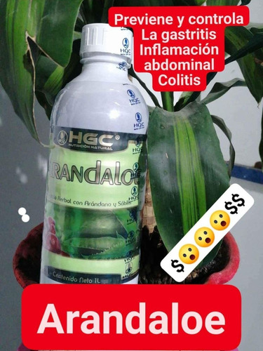 Arandaloe Hgc Nutrición Natural 