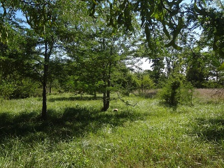 Imagen 2 de 3 de Venta De 2 Lotes Juntos O Separados. Total 8600 M. Canning.