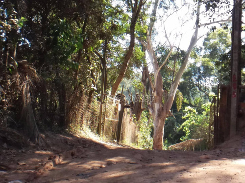 Imagem 4 de 13 de Área Comercial À Venda, Parque Rizzo Ii, Cotia. - Ar0507