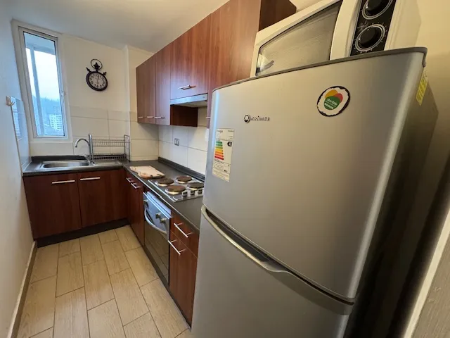 Imagen 5 de 13 de Arriendo Dpto Amoblado Av. Carrera / Pelantaro