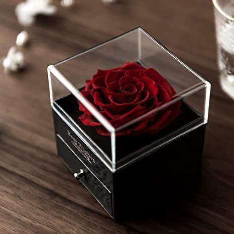 Colar, Rosa E Amor Gif Do Dia Dos Namorados 100 Idiomas