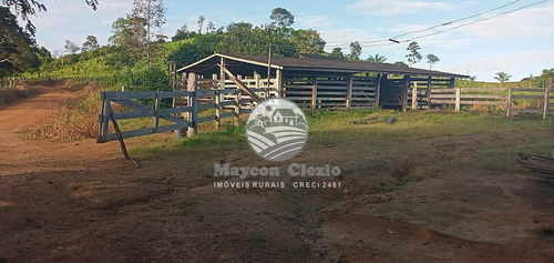 Imagem 7 de 9 de Venda Sítio Monte Negro Em Rondônia - Sig218
