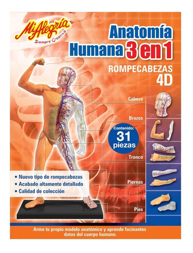 Imagen 1 de 3 de Anatomía Humana 3 En 1 Mi Alegría