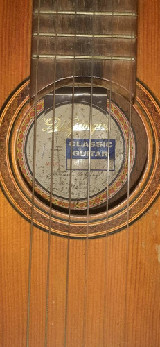 Guitarra Clasica Di Giorgio Brasilera