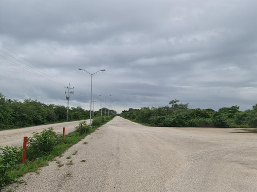 Imagen 1 de 4 de Terreno En Venta Carretera Mérida-progreso