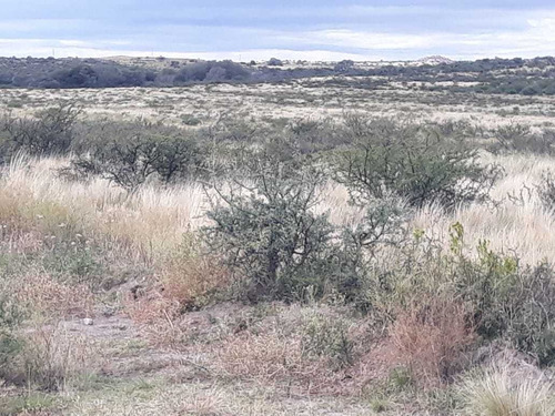 Imagen 2 de 11 de Campo De 350 Has.en San Luis , (gran Oportunidad) Dño Direct