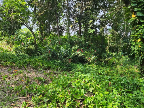 Se Vende De Oportunidad Finca En Rancho Los Mogotes Y Negociable