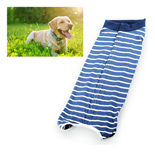 Traje De Recuperación Para Perros Transpirable De Verano Con