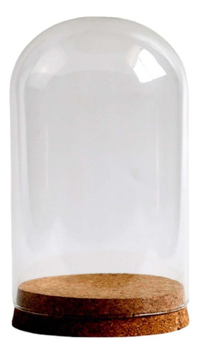 A Vitrina De Cristal Preservada De La Bóveda De De 9cmx15cm