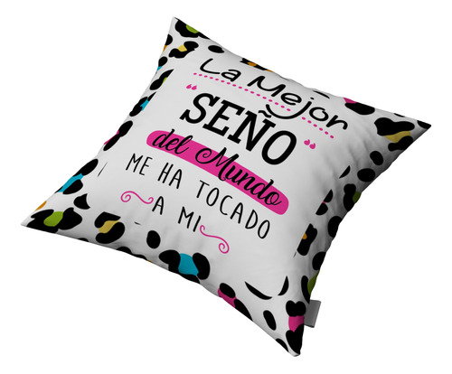 Almohadon Dia Del Maestro 30x30cm Personalizable | #007