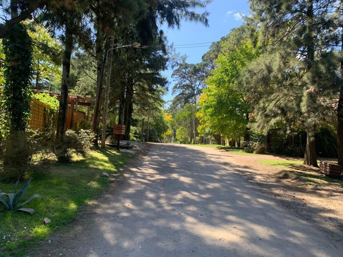 Imagen 18 de 18 de Casa Estilo Cabaña En Bosque Peralta Ramos, Mar Del Plata