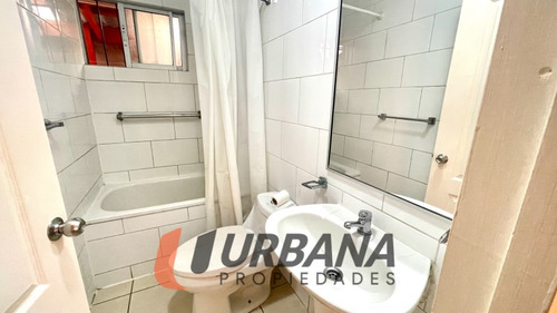 Casa Arriendo Sector El Sauce Coquimbo