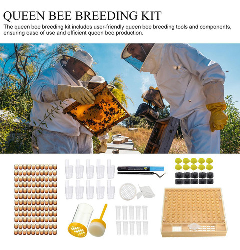 Kit Completo De Cría De Abejas Reina Kit De Cría De Abejas R