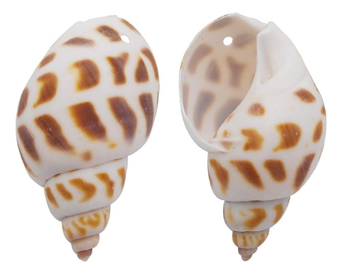 60 Piezas De Conchas De Mar Perforadas, Cuentas De Conchas M