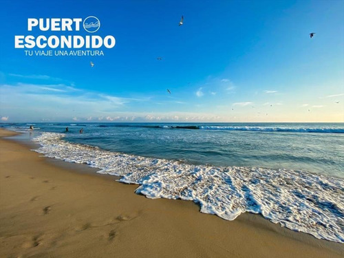 Imagen 1 de 7 de Terreno En Venta Libertad