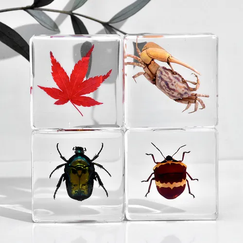 Insectos Artesanales De Resina Con Forma De Escarabajo, Arañ
