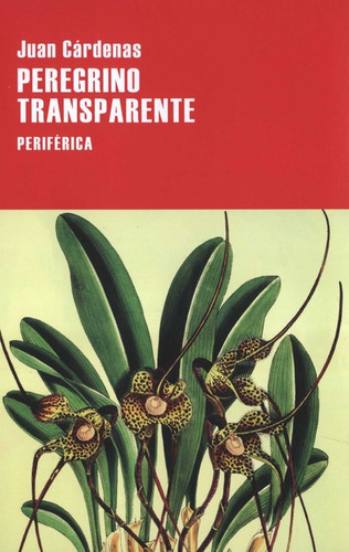 Peregrino Transparente, De Cárdenas, Juan. Editorial Periférica, Tapa Blanda, Edición 1 En Español, 2023