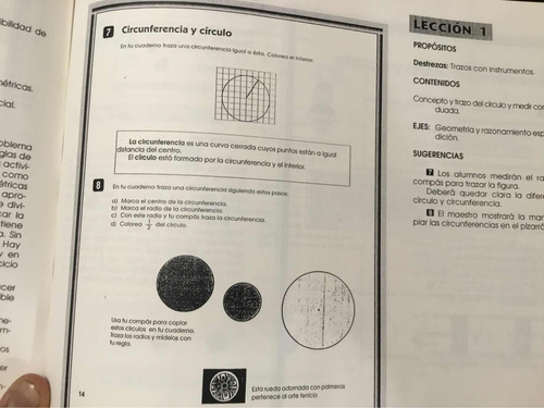Ábaco Matematica 5 Problemas Actividades Guia Del Maestro (Usado)