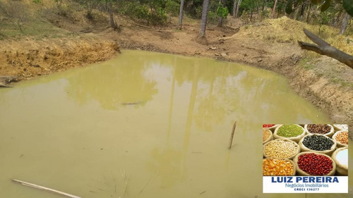 Fazenda À Venda Em Gurupi - To - De 20 Alqueirões (pecuária) - 1494