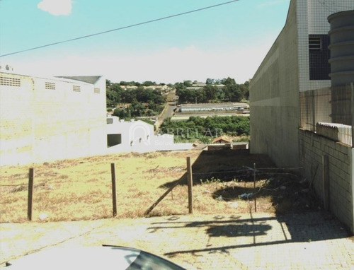 Imagem 3 de 4 de Terreno À Venda Em Parque Rural Fazenda Santa Cândida - Te005194
