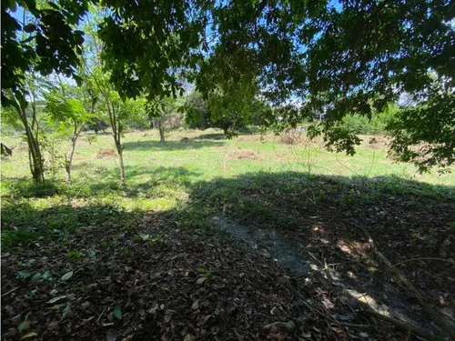 Venta De Lote Independiente En Sopetran