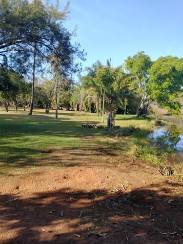 Imagem 3 de 13 de Fazenda Para Pecuária A Venda Na Região De Itapagipe / Campina Verde-mg, Com 57,5 Alqueirao, Benfeitorias Completas, Rio E Represa - Fa00395 - 70075361