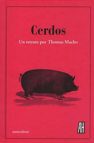 Cerdos. - Thomas Macho