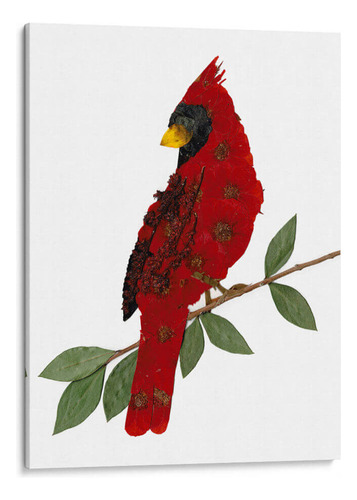 Canvas Lab Cuadro Cardinal 60x80, Designs By Andrea