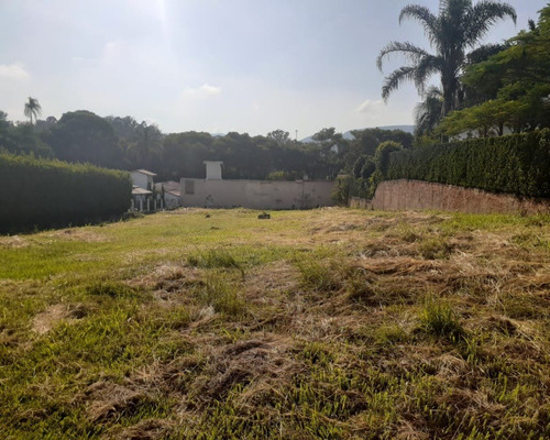 Imagem 2 de 14 de Terreno - Te00022 - 69308310