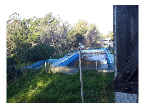 Imagen 18 de 23 de Campo 5 Ha Arboledas Añosas 2 Piletas Natac. Complejo C/instalac. Y Vvda Aptas Varios Destinos