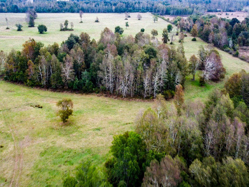 Imagen 5 de 13 de Campo Subdividido De 49,2ha - Villarrica